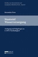 bokomslag Staatsziel Wasserversorgung