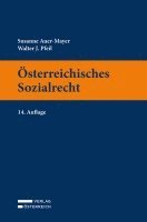 bokomslag Österreichisches Sozialrecht