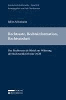 bokomslag Rechtssatz, Rechtsinformation, Rechtseinheit