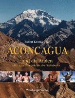 bokomslag Aconcagua