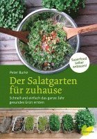 Der Salatgarten für zuhause 1