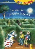 bokomslag LESEZUG/2. Klasse: Tom und Tina im Monster-Labyrinth