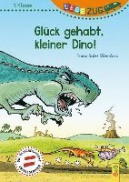 bokomslag LESEZUG/1. Klasse: Glück gehabt, kleiner Dino!