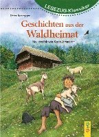 bokomslag LESEZUG/Klassiker: Peter Rosegger - Geschichten aus der Waldheimat