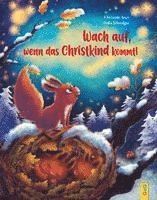 bokomslag Wach auf, wenn das Christkind kommt!