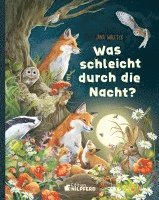 bokomslag Was schleicht durch die Nacht?