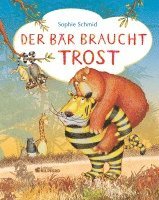 bokomslag Der Bär braucht Trost