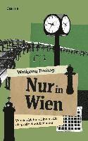 bokomslag Nur in Wien