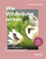 bokomslag Wie Wildkräuter wirken