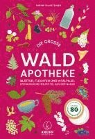 bokomslag Die große Waldapotheke