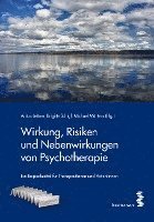 bokomslag Wirkung, Risiken und Nebenwirkungen von Psychotherapie