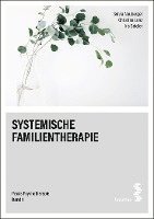 bokomslag Systemische Familientherapie