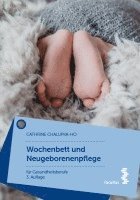 bokomslag Wochenbett und Neugeborenenpflege