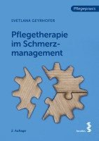 bokomslag Pflegetherapie im Schmerzmanagement