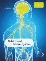 bokomslag Gehirn und Nervensystem