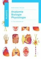 bokomslag Plakate Anatomie - Biologie - Physiologie