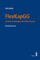 FlexKapGG 1