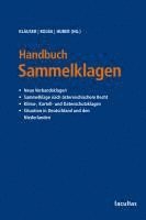Alexander Klauser, Peter Kolba, Katharina Huber - Handbuch Sammelklagen, Inbunden