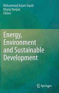 bokomslag Energy, Environment and Sustainable Development