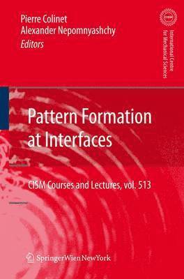 Pierre Colinet, Alexander Nepomnyashchy - Pattern Formation at Interfaces, Inbunden