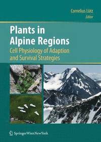 bokomslag Plants in Alpine Regions