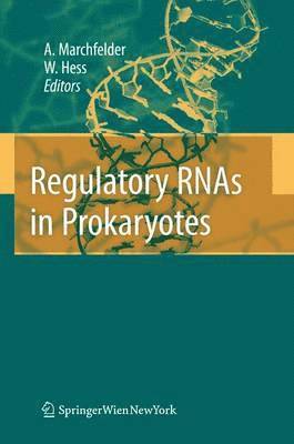 bokomslag Regulatory RNAs in Prokaryotes