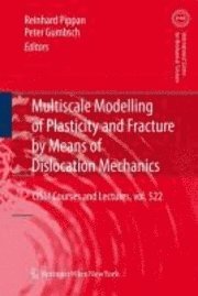 bokomslag Multiscale Modelling of Plasticity and Fracture by Means of Dislocation Mechanics