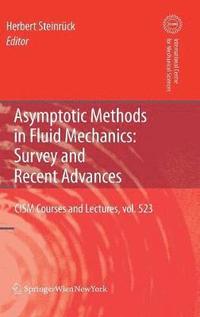 bokomslag Asymptotic Methods in Fluid Mechanics: Survey and Recent Advances