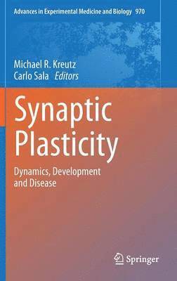 Synaptic Plasticity 1