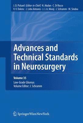 bokomslag Advances and Technical Standards in Neurosurgery, Vol. 35