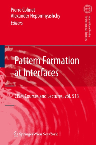 Pierre Colinet, Alexander Nepomnyashchy - Pattern Formation at Interfaces, Häftad