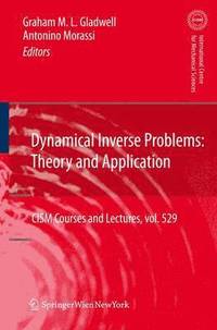 bokomslag Dynamical Inverse Problems: Theory and Application
