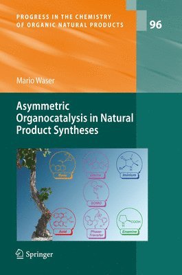 bokomslag Asymmetric Organocatalysis in Natural Product Syntheses