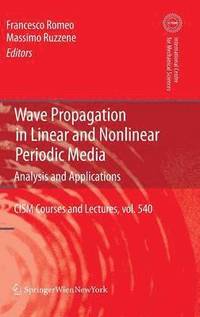 bokomslag Wave Propagation in Linear and Nonlinear Periodic Media