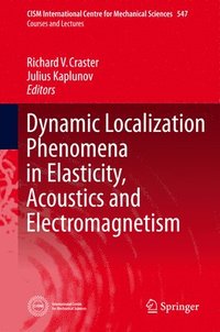 bokomslag Dynamic Localization Phenomena in Elasticity, Acoustics and Electromagnetism