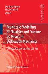 bokomslag Multiscale Modelling of Plasticity and Fracture by Means of Dislocation Mechanics