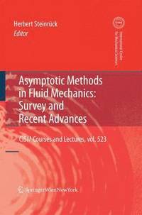 bokomslag Asymptotic Methods in Fluid Mechanics: Survey and Recent Advances