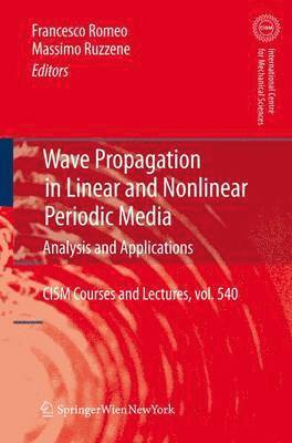 bokomslag Wave Propagation in Linear and Nonlinear Periodic Media