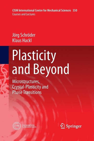 bokomslag Plasticity and Beyond