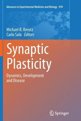 Synaptic Plasticity 1