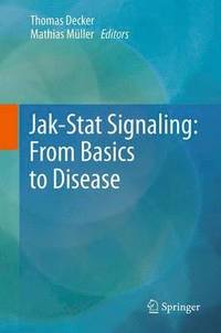 bokomslag Jak-Stat Signaling : From Basics to Disease