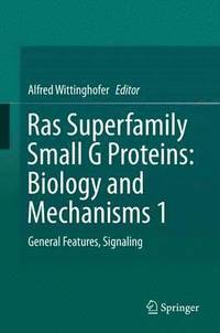 bokomslag Ras Superfamily Small G Proteins: Biology and Mechanisms 1