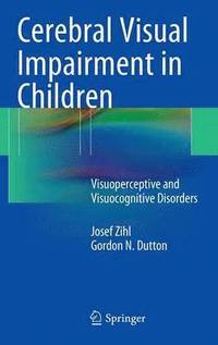 bokomslag Cerebral Visual Impairment in Children