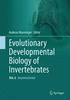 bokomslag Evolutionary Developmental Biology of Invertebrates 6