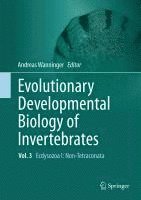 bokomslag Evolutionary Developmental Biology of Invertebrates 3