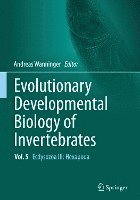 bokomslag Evolutionary Developmental Biology of Invertebrates 5
