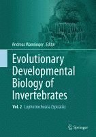 bokomslag Evolutionary Developmental Biology of Invertebrates 2