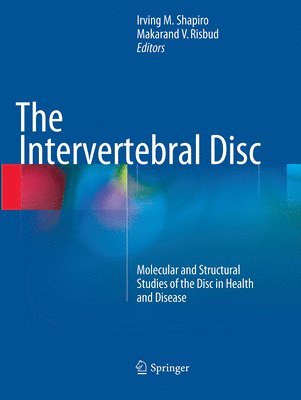 Irving M. Shapiro, Makarand V. Risbud - Intervertebral Disc, Häftad