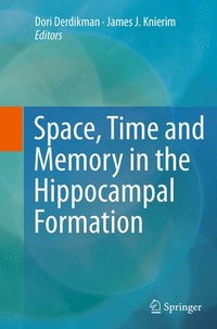 bokomslag Space,Time and Memory in the Hippocampal Formation