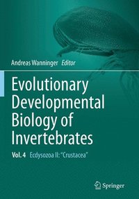 bokomslag Evolutionary Developmental Biology of Invertebrates 4